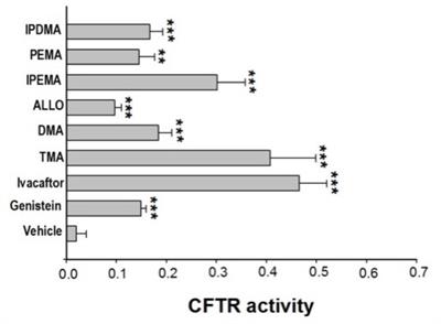 Molecular Mechanism of Action of Trimethylangelicin Derivatives as CFTR Modulators